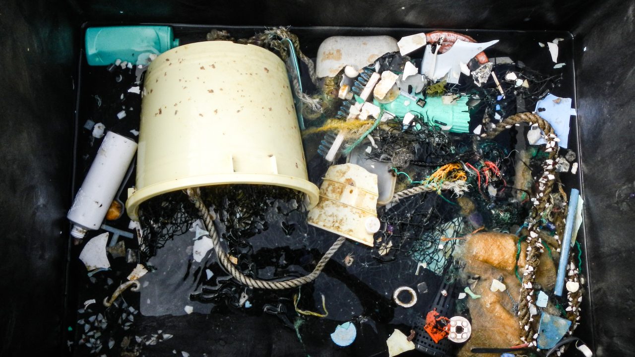 Plastic samples collected during the Mega Expedition, 2015.