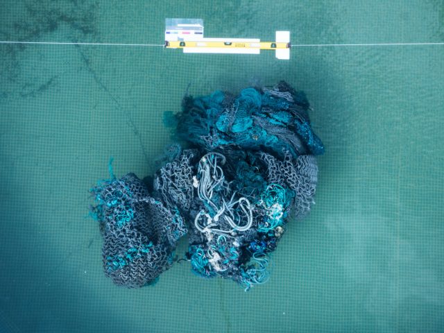 A swimming pool was used to find the correlation factor between top surface area and dry weight of large debris. Photo credits: The Ocean Cleanup