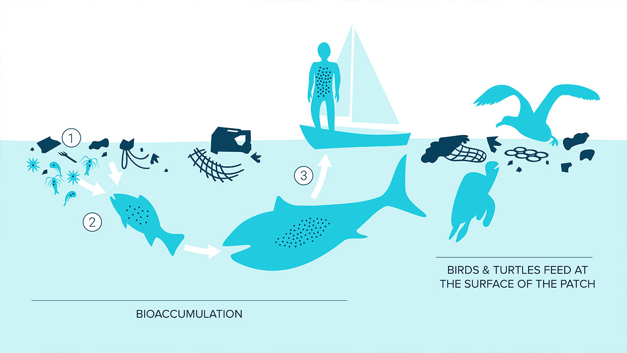 The Great Pacific Garbage Patch | The Ocean Cleanup