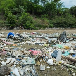 Plastic pollution in Rio Las Vacas, Guatemala