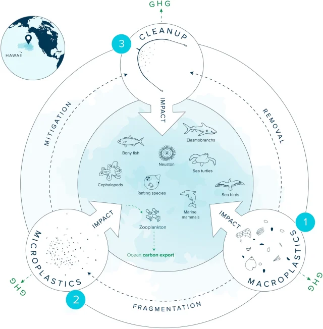 Great pacific garbage patch, GPGP, ocean plastic, plastic pollution, ocean plastic pollution