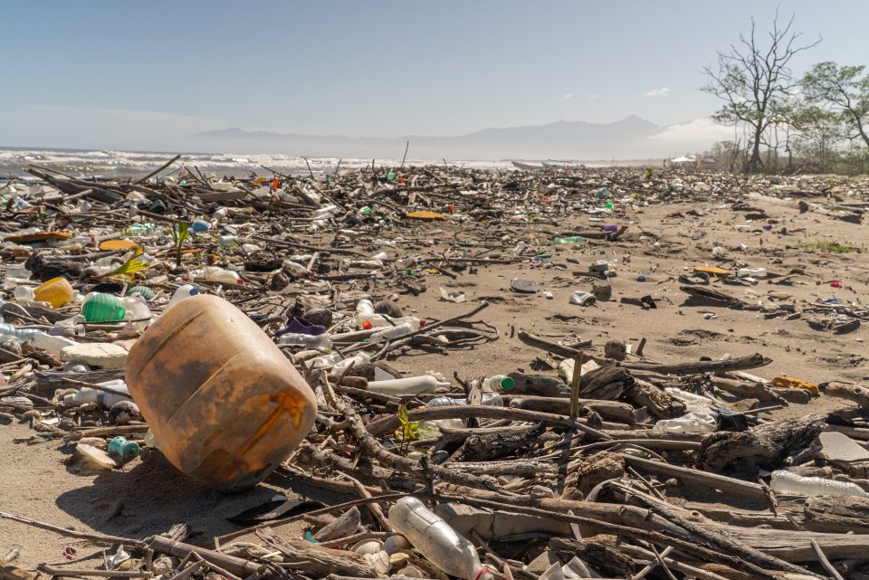 Coastal sweep, river pollution, river plastic, beach cleanup