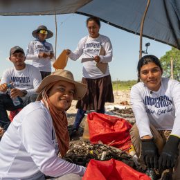 Coastal sweep, river pollution, river plastic, beach cleanup