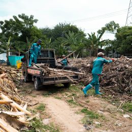 organic waste