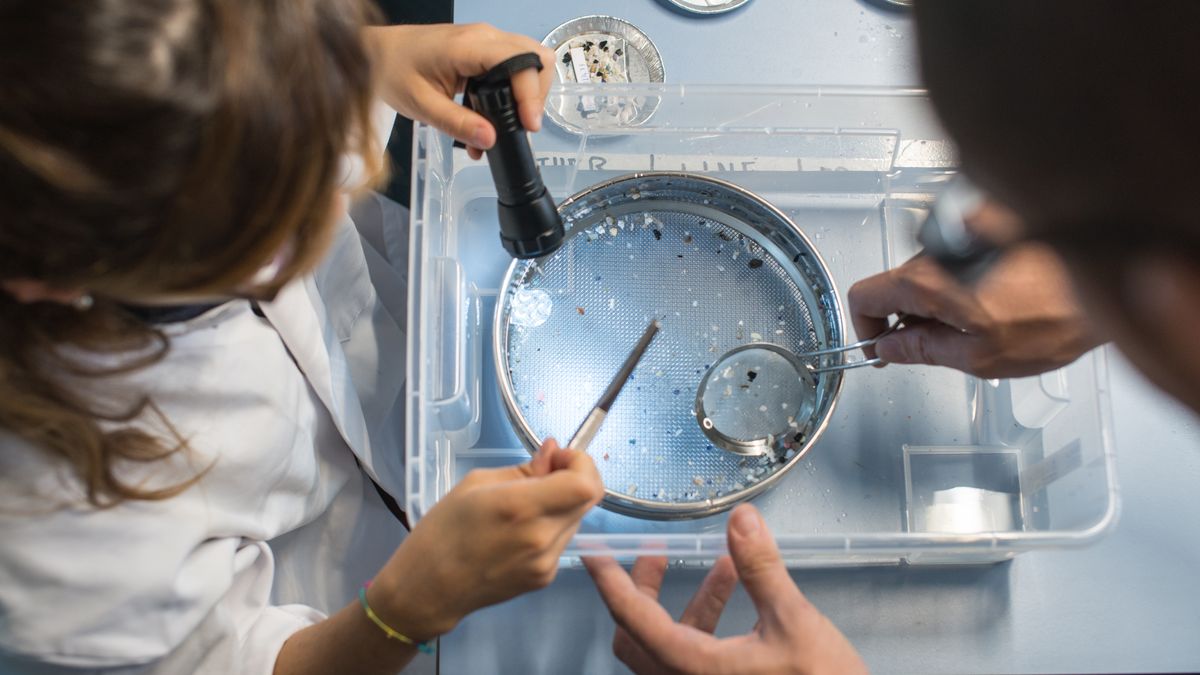 The Ocean Cleanup research team processes ocean plastic samples in the laboratory.