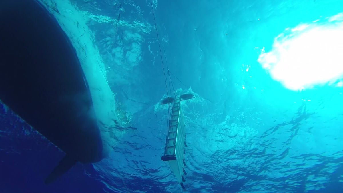 Multilevel-trawl under water during Vertical Distribution research