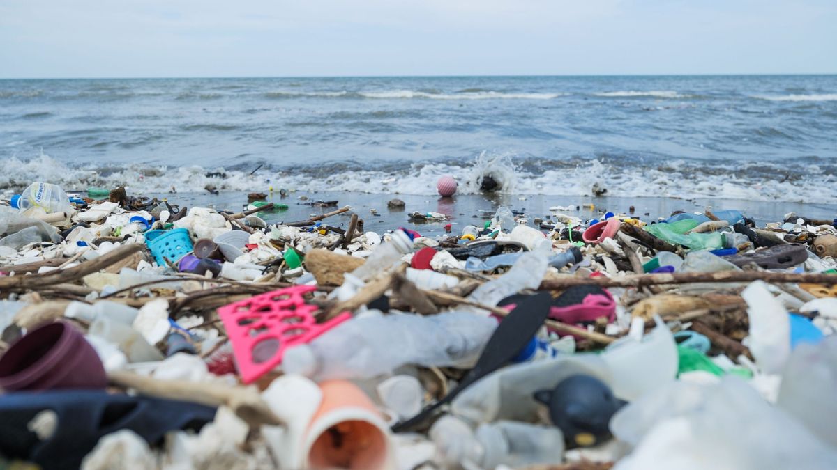 Ocean Plastic Explained • The Ocean Cleanup