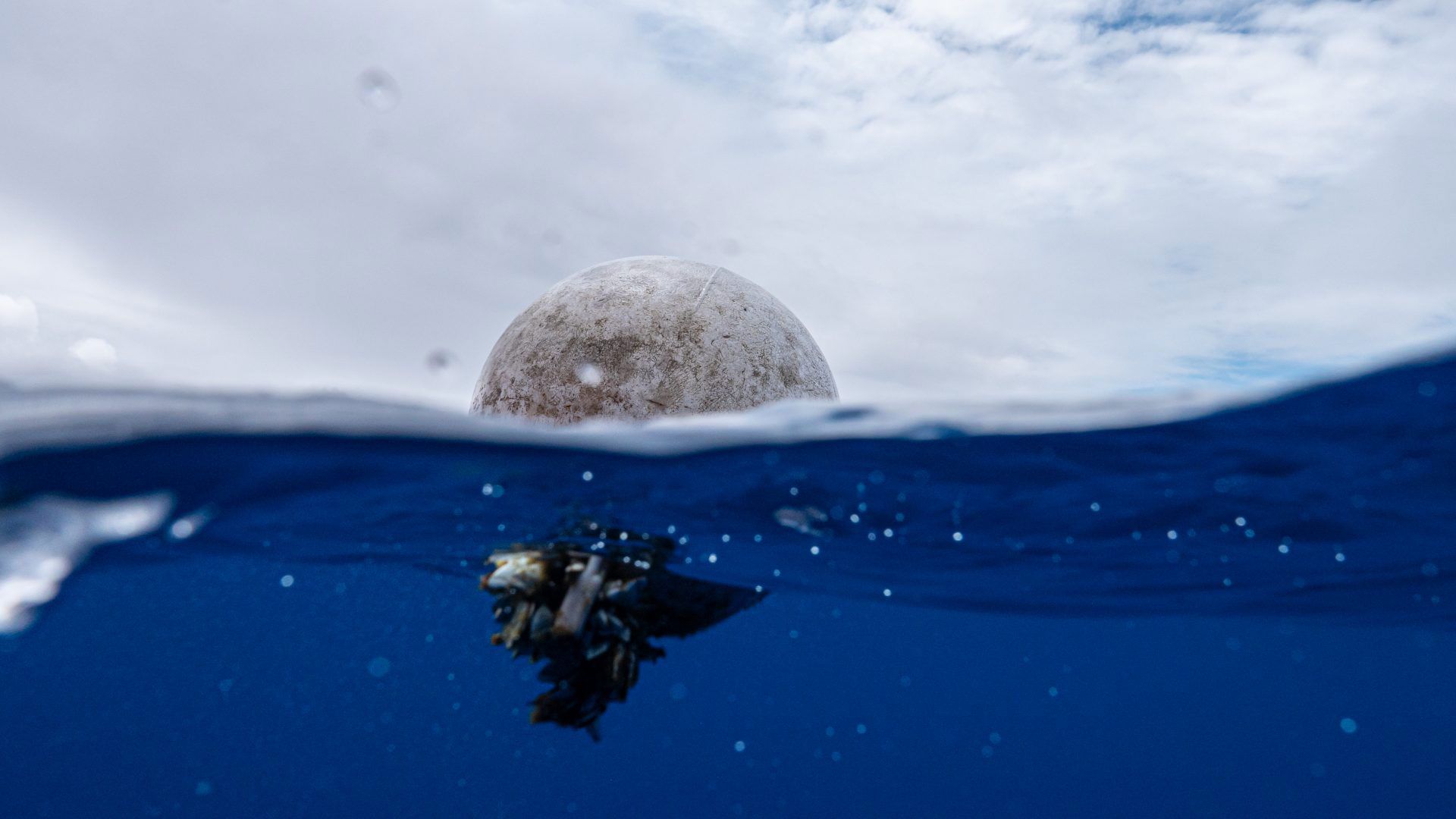 Why the Trash Island is a Misconception The Ocean Cleanup