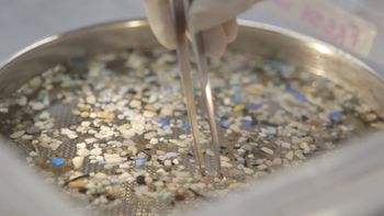 Counting of microplastics in The Ocean Cleanup's lab