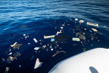 Plastic accumulating along the barrier of System 002