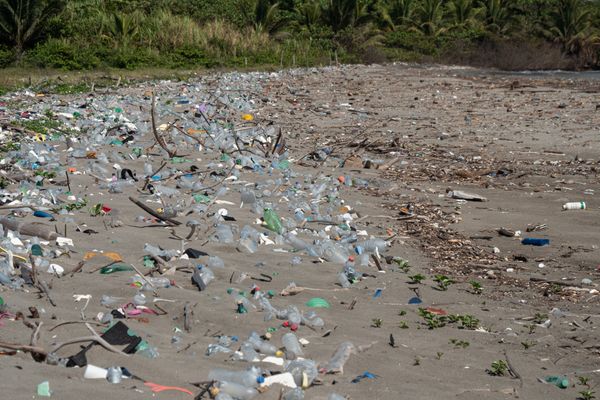 Plastic pollution on beach next to the river mouth of Motagua river