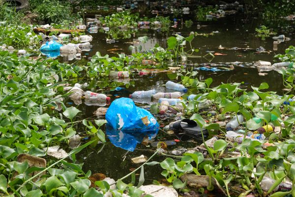 Plastic pollution in Ozama river, Dominican Republic