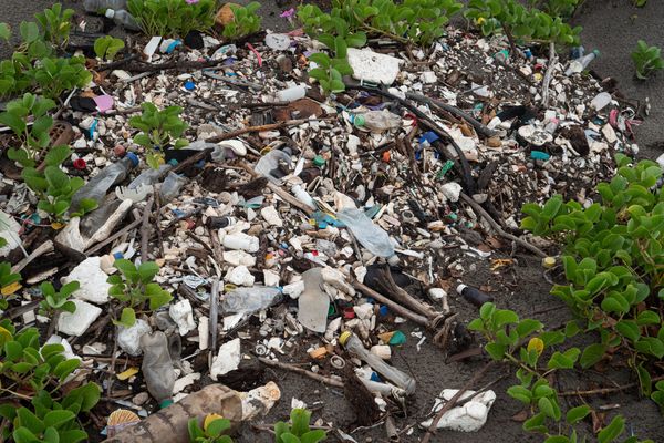 Plastic washed ashore on a Honduran beach