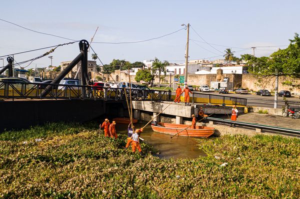 Local task force working on cleaning up water hyacinths in Rio Ozama after the tropical storm