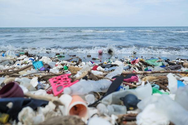 Plastic pollution on a beach in Honduras