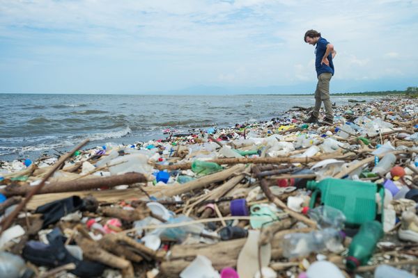 Boyan Slat, founder and CEO of The Ocean Cleanup on a polluted beach in Honduras