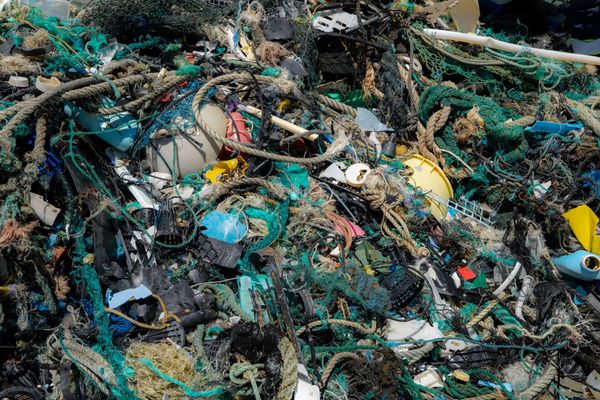 Picture of catch from System 002 with nets, buoys, crates, bottles.