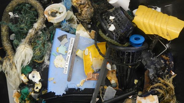 #02 - Results of an hour of sampling with the Mega Trawl **Photo credits: The Ocean Cleanup**