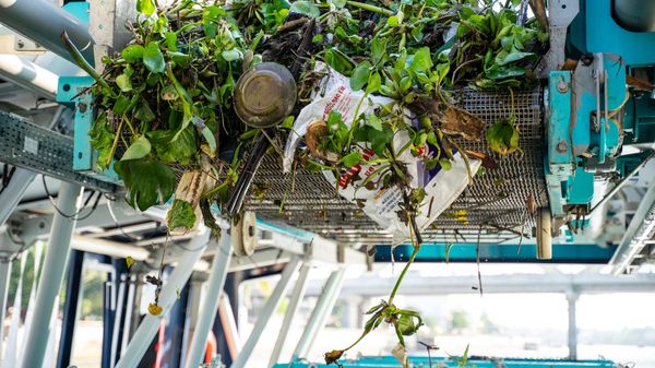 organic waste