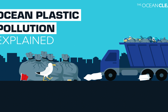 plastic pollution project work methodology
