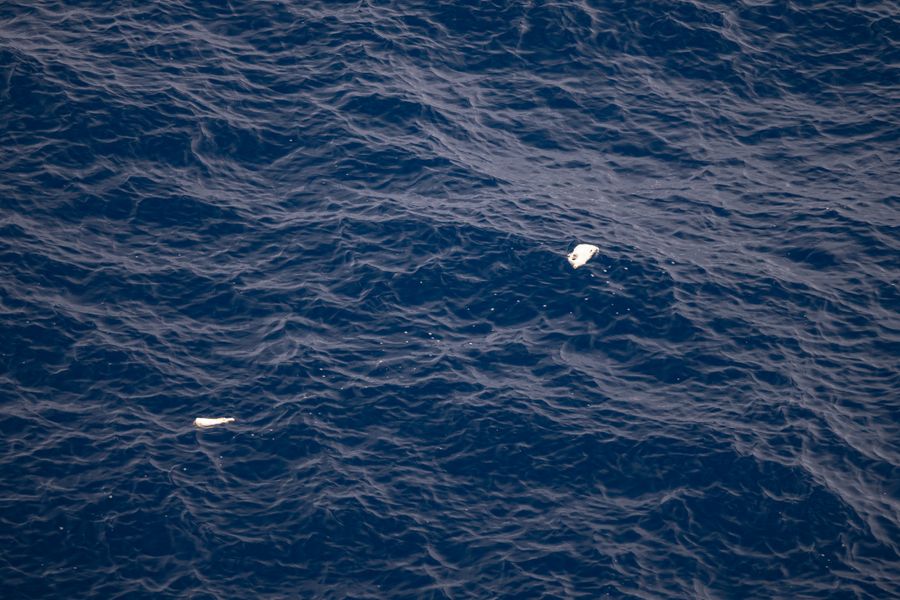 Plastic bottles floating in the Great Pacific Garbage Patch