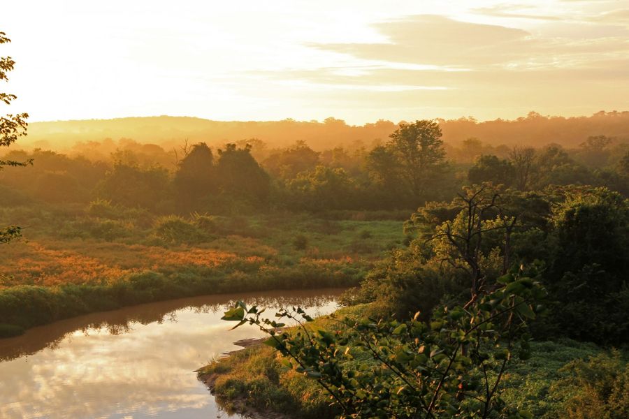 The Kariba REDD+ Project