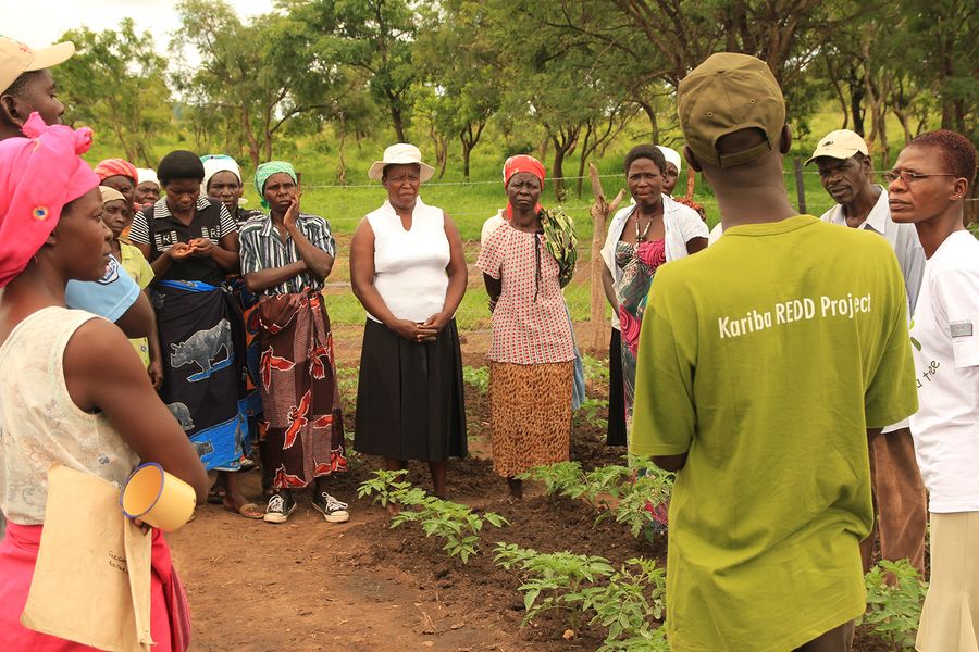 The Kariba REDD+ Project