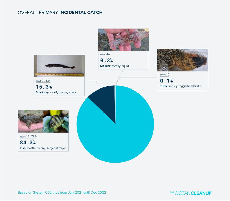 Graph and pictures representing the overall primary incidental catch