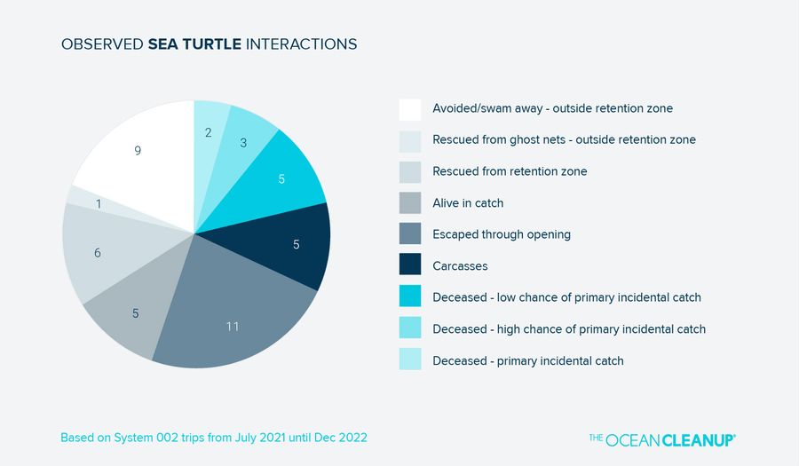 Graph representing the sea turtle observations