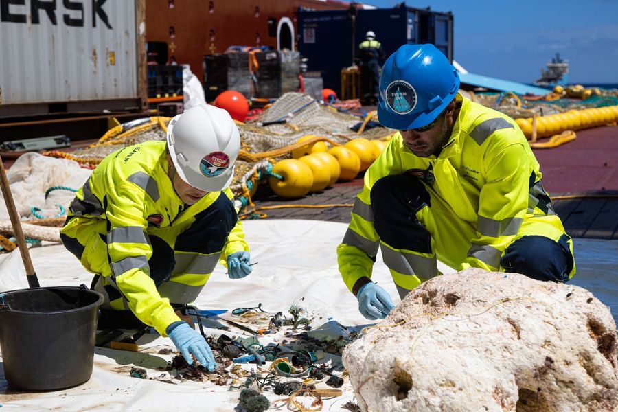 Crew examining bycatch on deck