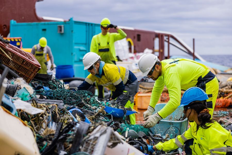 Maersk crew sorting the catch on deck during a System 002 trip