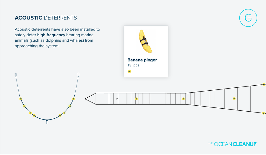 Acoustic deterrents are installed to safely deter high-frequency hearing animals