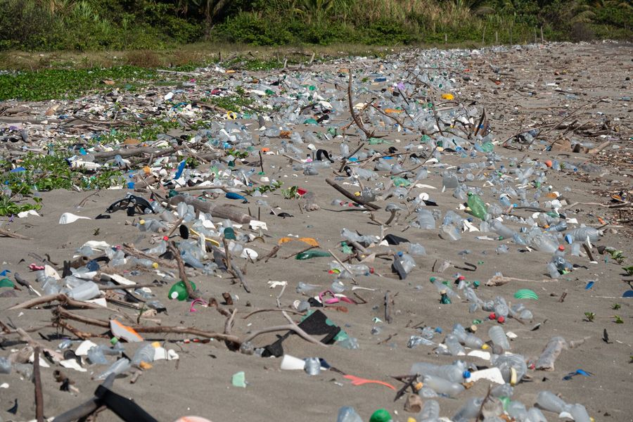 Guatemala coastline littered with trash