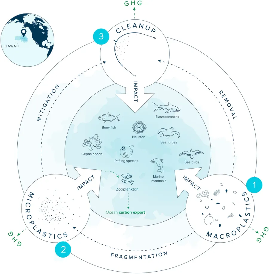 Great pacific garbage patch, GPGP, ocean plastic, plastic pollution, ocean plastic pollution