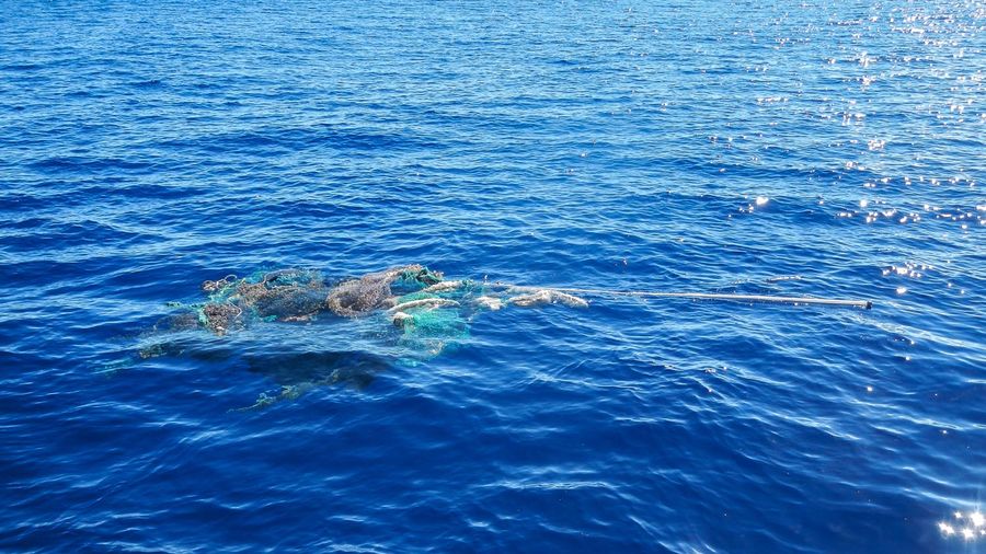#01 - A ghostnet floating in the Great Pacific Garbage Patch.