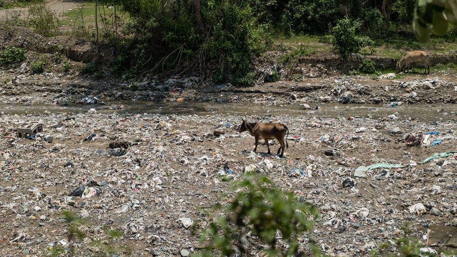 Plastic pollution along and on the river bed of Rio Las Vacas