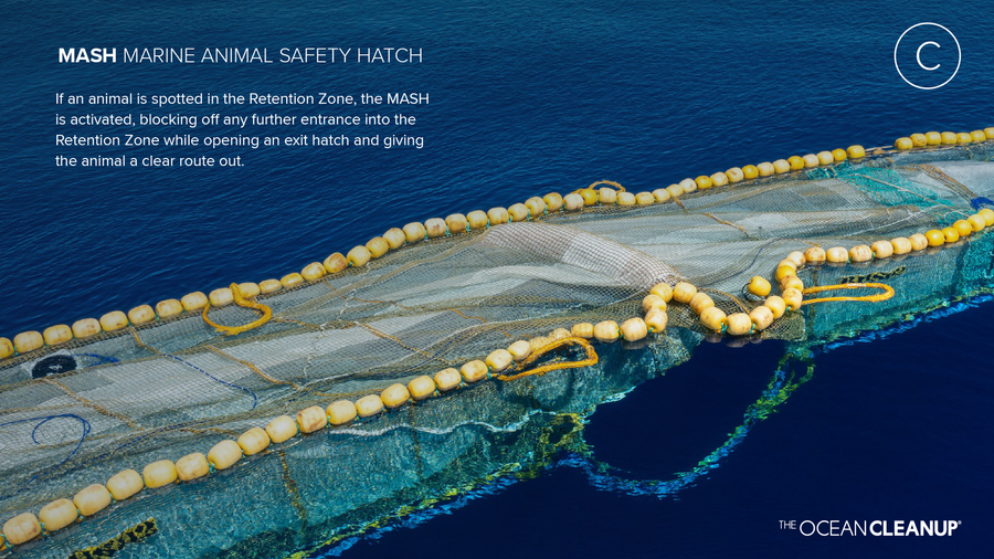 The Marine Animal Safety Hatch (MASH)