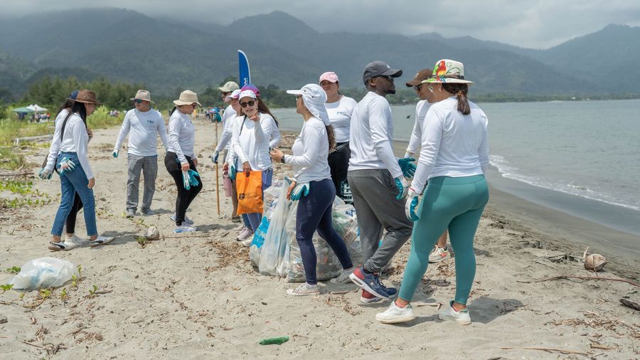 Plastic pollution