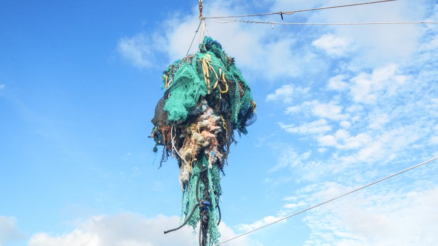 Ghost net lifted aboard the Mega Expedition mothership R/V Ocean Starr.