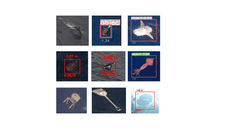 ADIS, Ocean Plastic Pollution